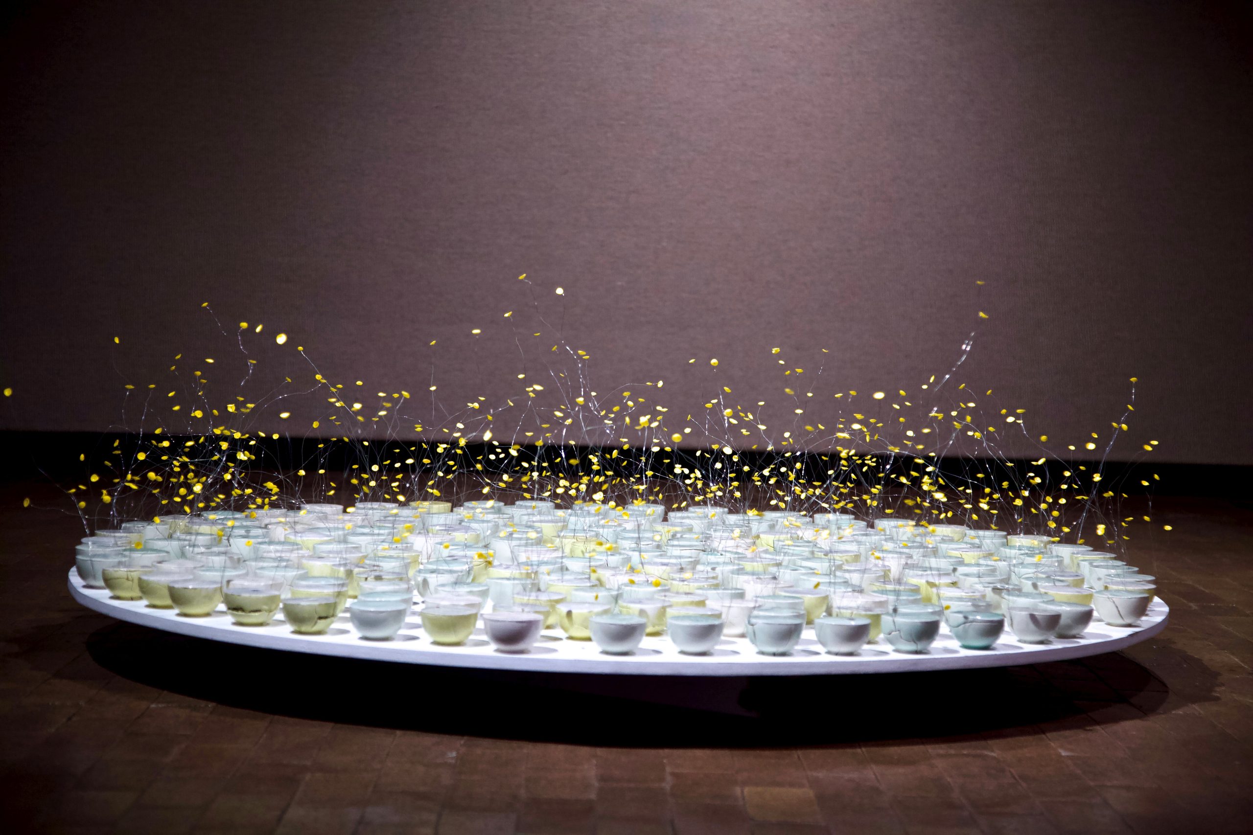 Crow Museum Unveils Spring Exhibitions and Programs – Dallas Weekly